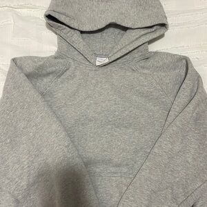 ARITZIA MEGA RAGLAN HOODIE